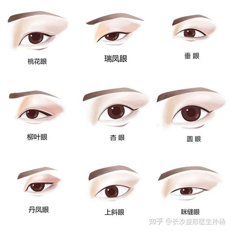 瑞鳳眼女|中国人常见的10种眼型，你是哪一种？